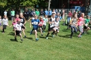 Volkslauf